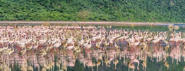 _DSC0891-Pano