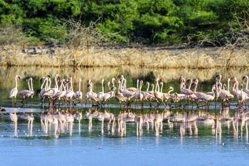 _DSC0937