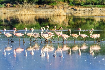 _DSC0954