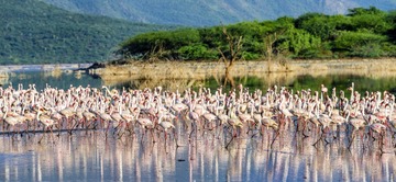 _DSC0912-Pano