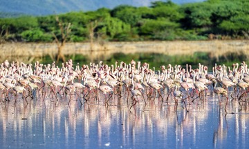 _DSC0910-Pano