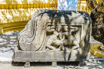 _DSC4879