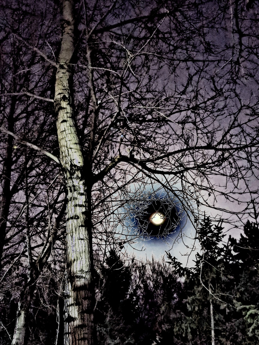 万圣节月黑风高