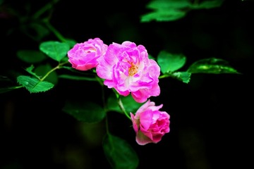 150560