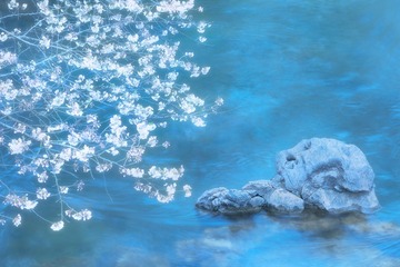 流水樱花