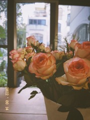 35F3DC14-960C-4BE8-9A51-CC8EF0B0C4C9/L0/001