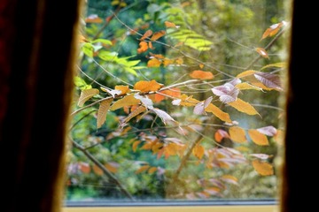 DSC01368_