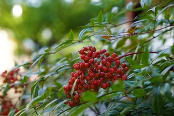 DSC01345_