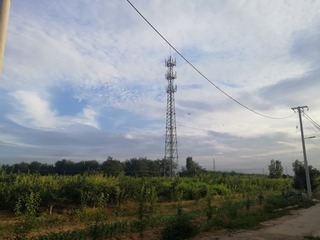2979545