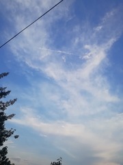 2979835