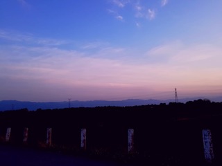 3397644