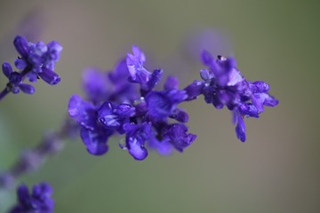 20160904165249_IMG_4480