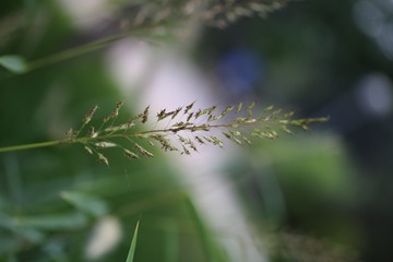 20160904142945_IMG_4387