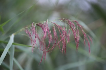 20160904161330_IMG_4446