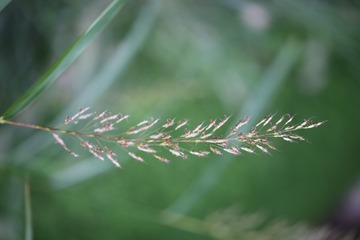 20160904142922_IMG_4386