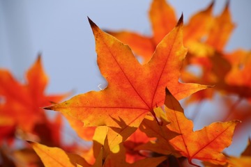 20161026133935_IMG_5932