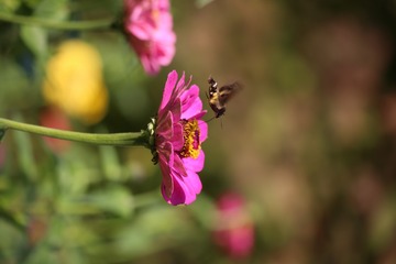 20161026132417_IMG_5914