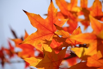 20161026133923_IMG_5931