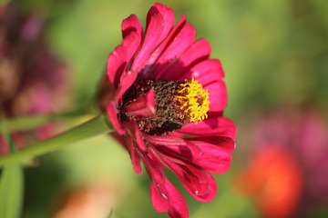 20161026142545_IMG_6005