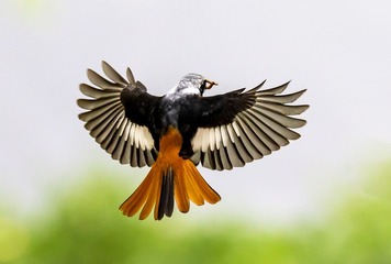 5026356