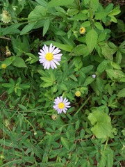 IMG_20160803_114400