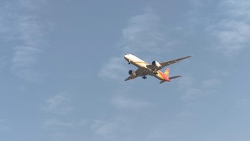 1000008237