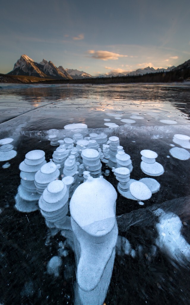 what a wonder~ful~world~ =。=