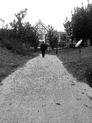 IMG_20161106_152533