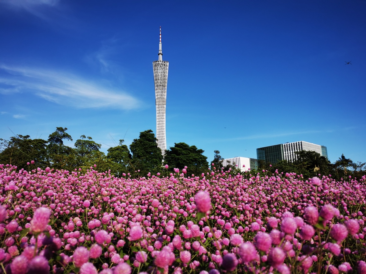 不同视角下的广州塔美景 - 智汇石头