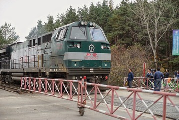 DSC00011_2-01