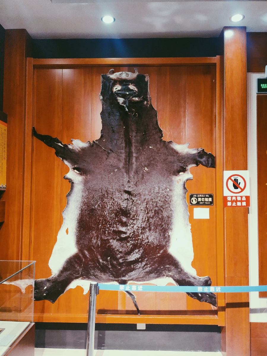 东阿镇百年堂阿胶厂黑驴皮展示厅