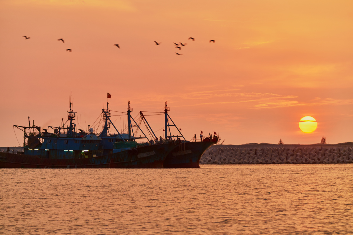 归航两艘渔船在夕阳下并肩驶入港口homing