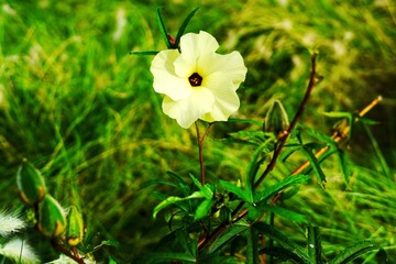 _DSC6409_调整大小