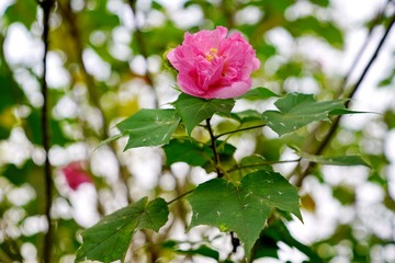 DSC05933_调整大小