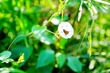 DSC06547_调整大小