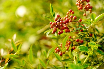 DSC06660_调整大小