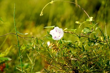 DSC06661_调整大小