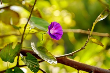 DSC06666_调整大小