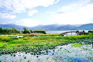 _DSC6387_调整大小