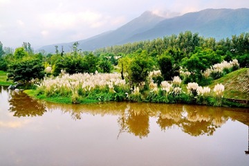 DSC05888_调整大小