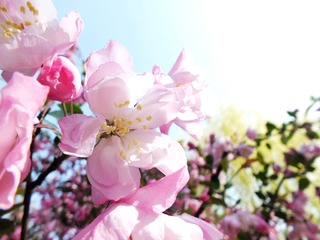 DSCF3575_