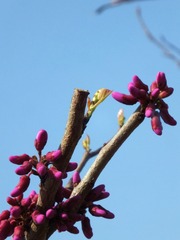 DSCF3018_