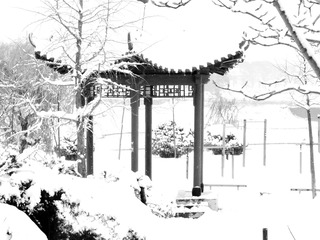 DSCF5985_