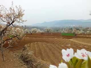 DSCF3850_