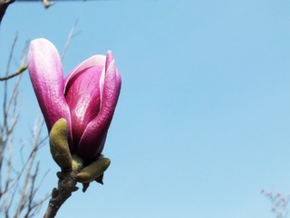 DSCF3161_