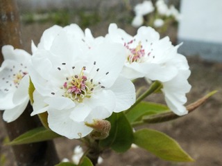 DSCF3687_