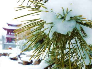 DSCF6021_