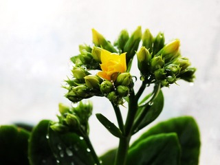 DSCF6051_