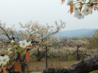 DSCF3805_