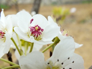 DSCF3873_